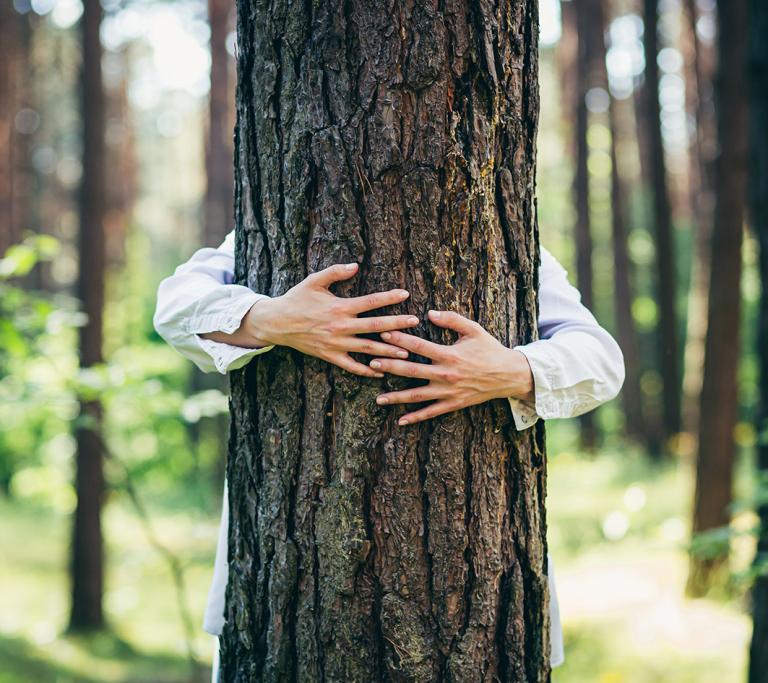 Hände umarmen einen dicken Bau
