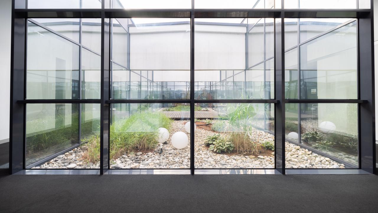 große Glasscheibe mit Blick auf einen angelegten Garten im Innenhof