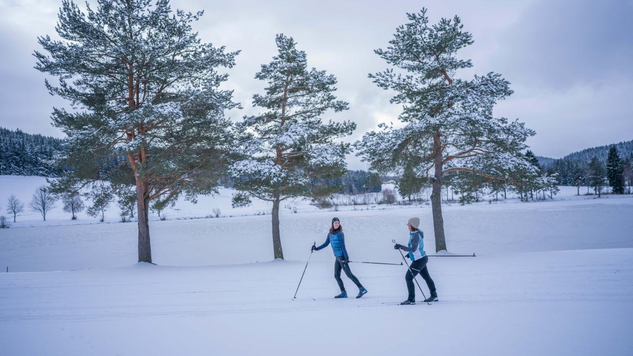 Zwei Frauen beim Langlaufen im Waldviertel