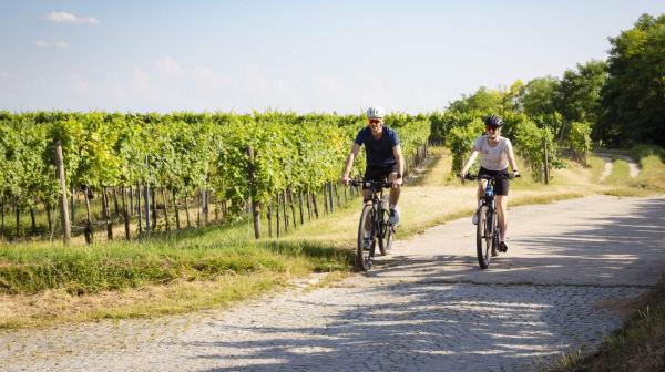 zwei Radfahrende und im Hintergrund Weinstöcke