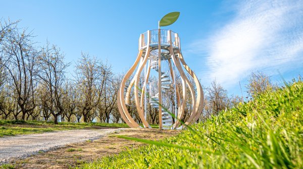 Hölzerner Aussichtsturm mit spiralförmiger Treppe und blattförmigem Dach inmitten einer Obstbaumallee, davor grünes Gras und ein Weg, darüber blauer Himmel.
