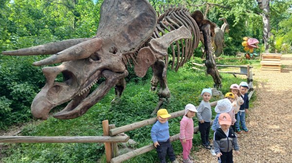 Gruppe an Kindergartenkinder vor einem Dinosaurier-Skelett
