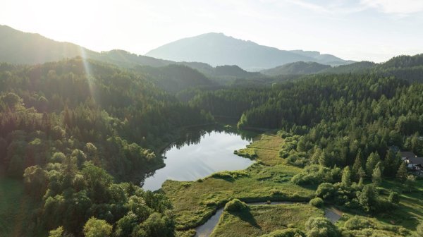 Luftaufnahme einer ruhigen Naturlandschaft mit einem kleinen See, der von dicht bewaldeten Hügeln umgeben ist.