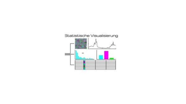 Grafik zur statistischen Visualisierung