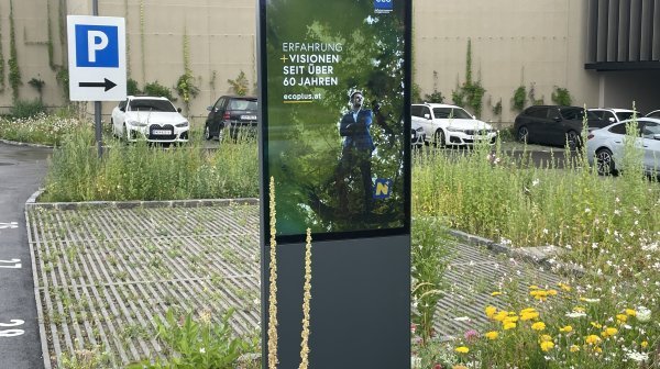 begrünter Parkplatz