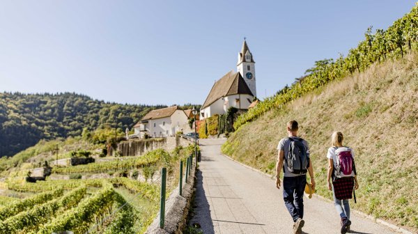 2 Wanderer am Weinberg