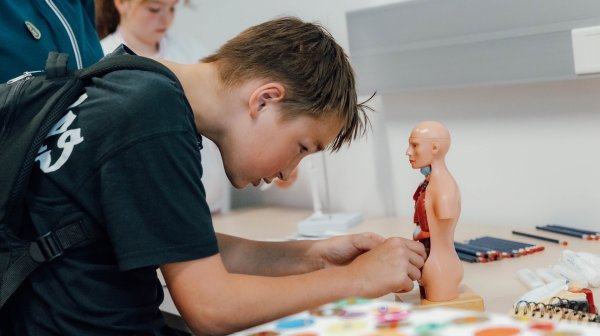 Bursch bei einem kleinen anatomischen Modell des Menschen mit den inneren Organen