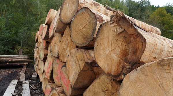 Holzstoß 
