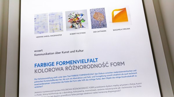 ecoart Bildwand in dem Herrengasse-Büro